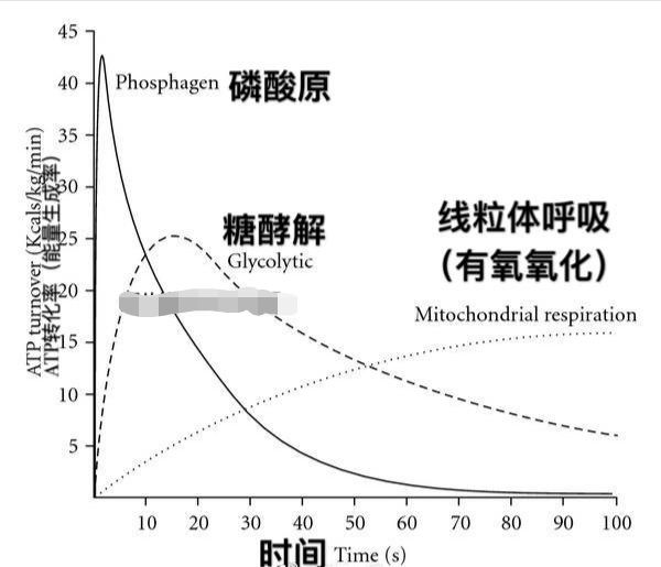 有氧无氧运动之间的区别，一张图