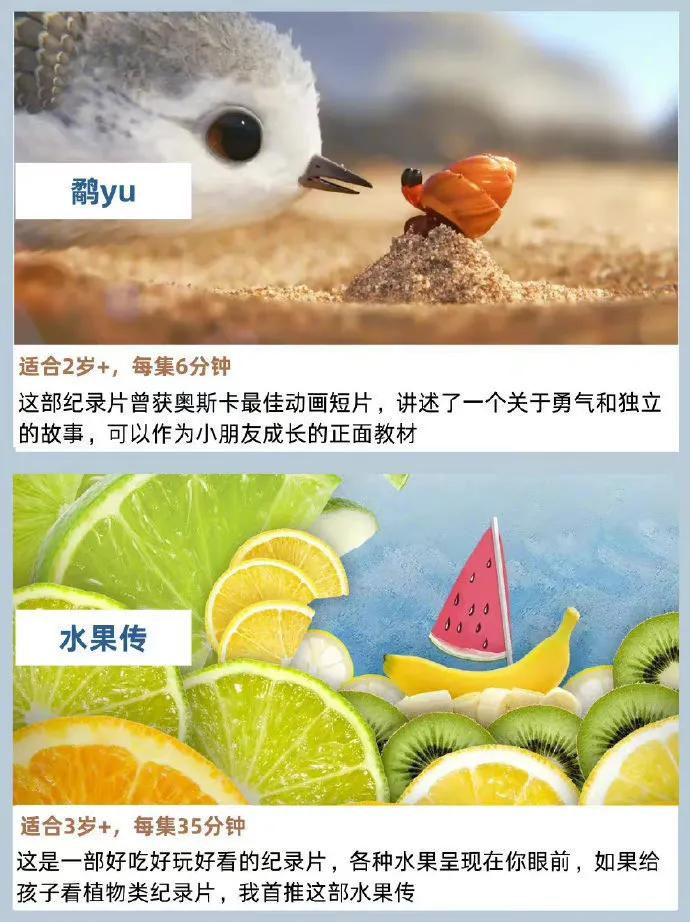 高质量的儿童纪录片来啦，看动画