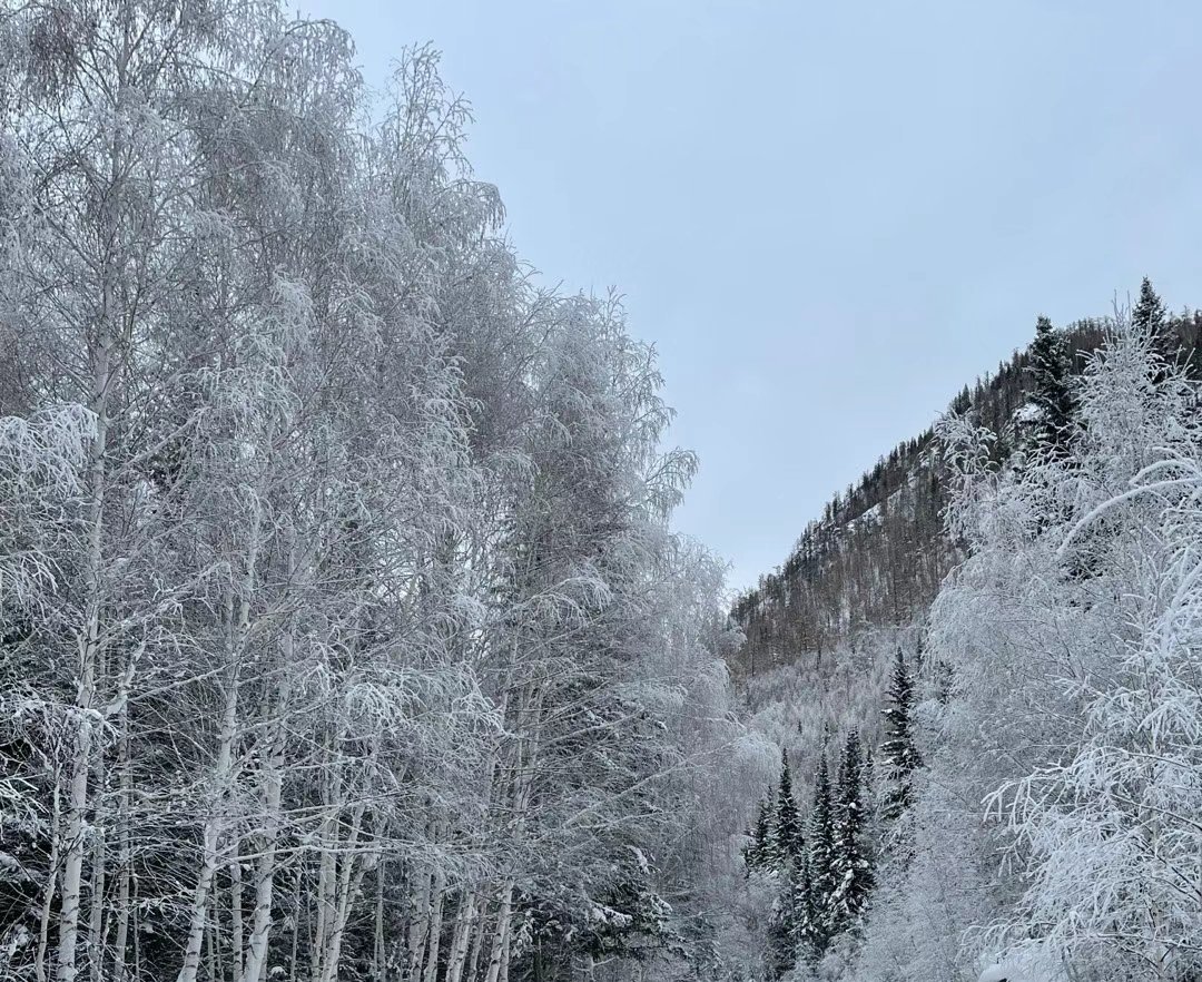 #旅行[超话]##一起感受中国湿地之美#冬天的新疆，雪白的禾木。现在的新疆当下的
