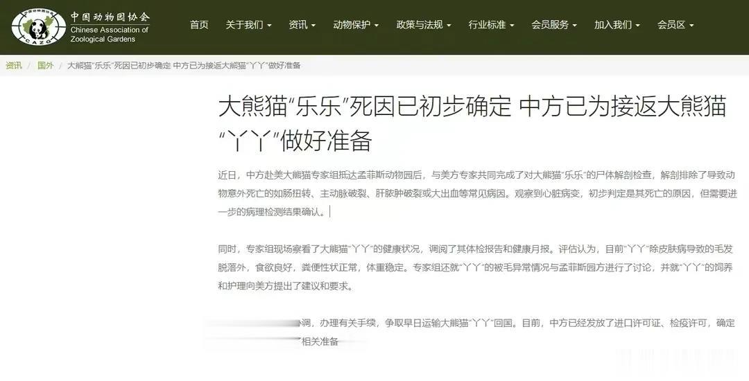 赴美雄性熊猫乐乐2月3日不幸在异国他乡美国孟菲斯动物园猝然离世，由于身边无人照料