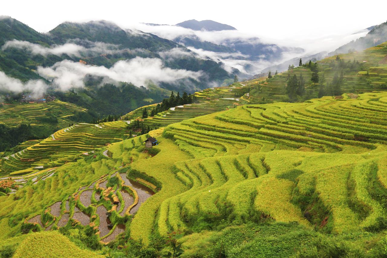 中国最美的三大梯田，你知道是哪里吗？
很多人都知道云南元阳梯田，广西龙脊梯田，还