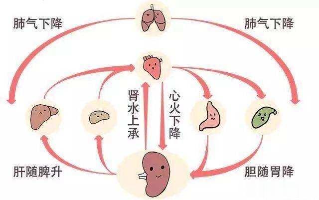一则医案证明，老王如何“治病求本”一个人的体质也有稳定性，而他的舌像同样有稳定性