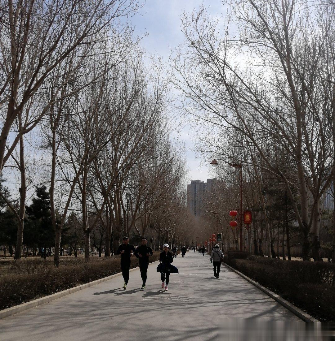 公园长长林荫道，只见林木阴何少。树枝仍枯飞鸟没，天空远远亦寂寥。我盼春光多美好，