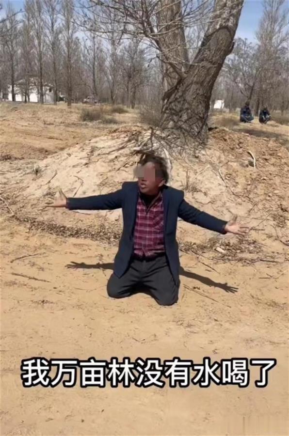 这没煤矿后台很硬啊，国企搞得像黑社会了

农场主凭一己之力植树治沙21年多不容易