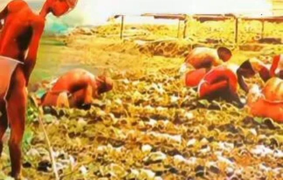 #历史那些事[超话]#“这是报应！”1945年日本投降后，60万日军战俘被送至西