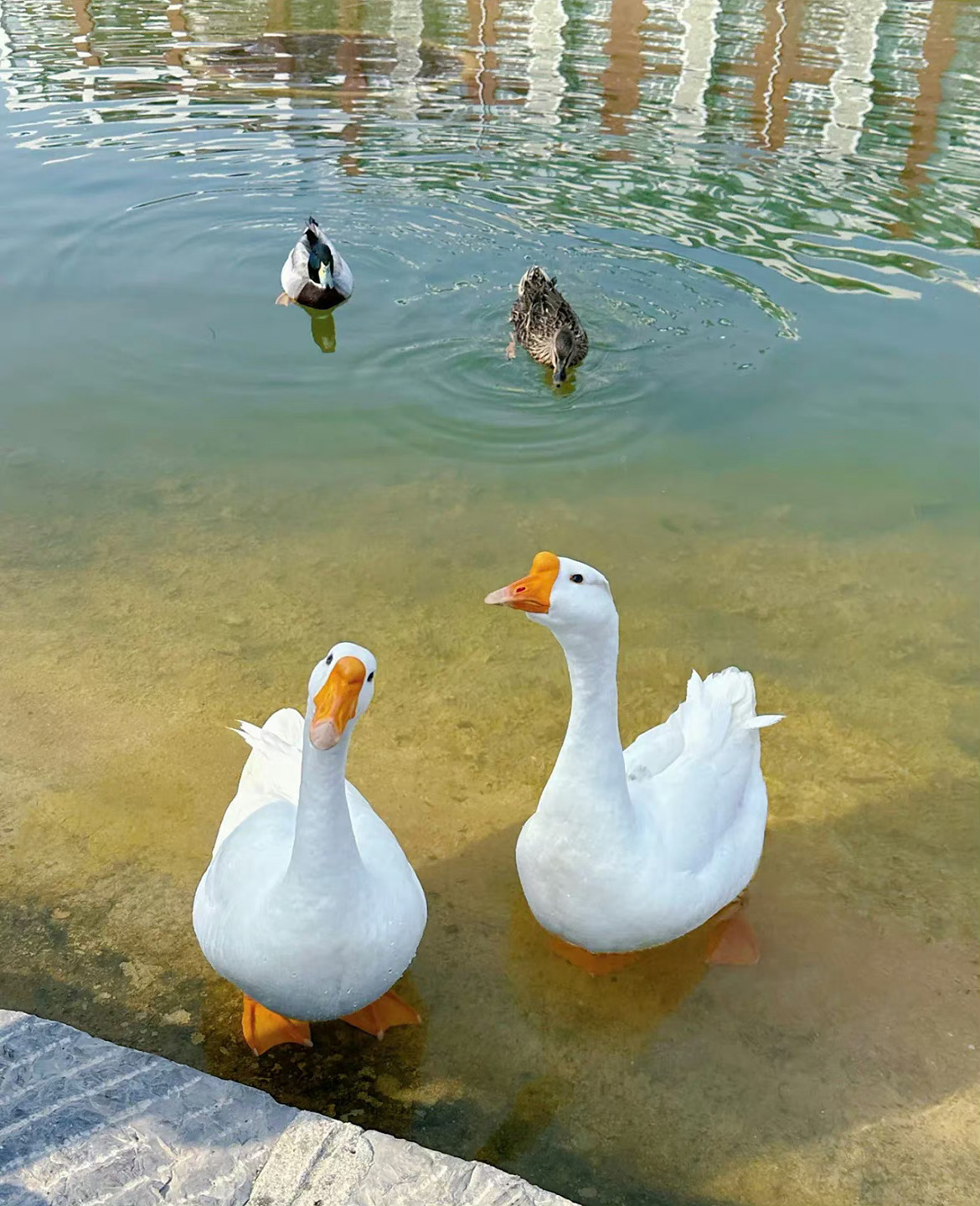  把你宠成公主的，看似你受益，实则他高位——能给你也能随时收回来。爱情中真正的受