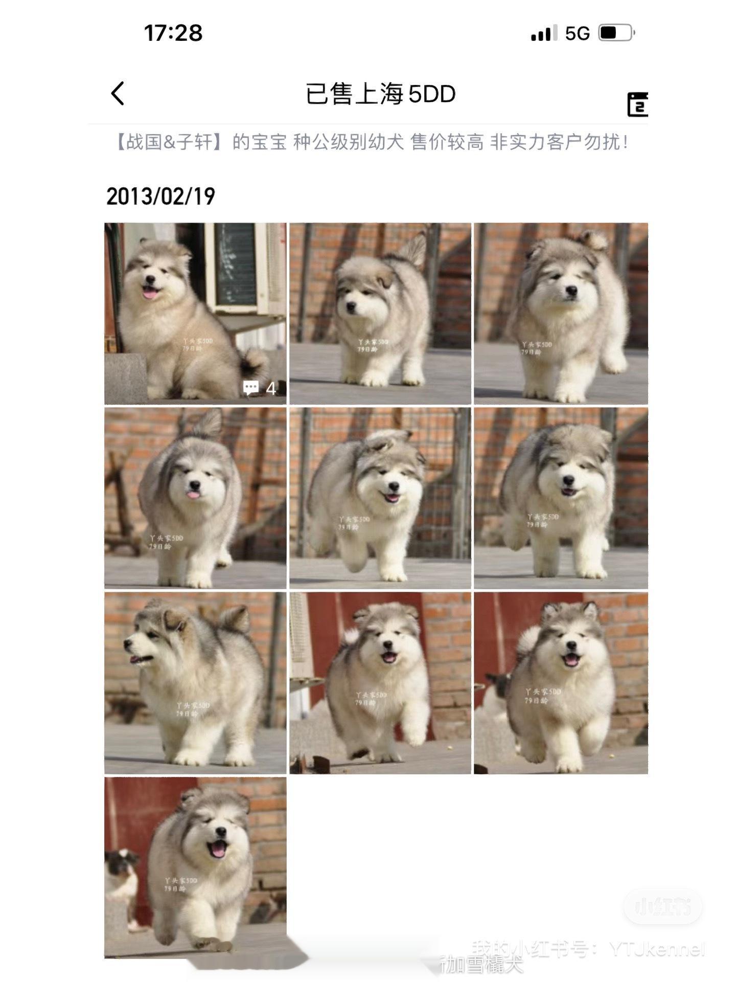 10年前的阿拉斯加 … 我繁育的… ​​​