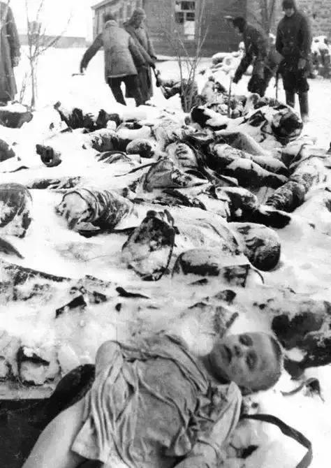 这是1944年，克里米亚地区，被纳粹屠杀的平民，一张罕见的老照片，当年撤退的纳粹