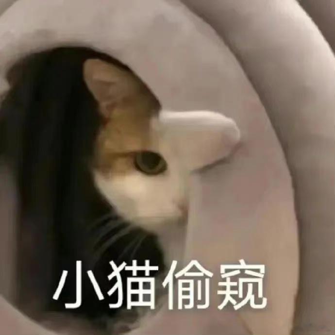 你认为下列哪个星座最关注前任？