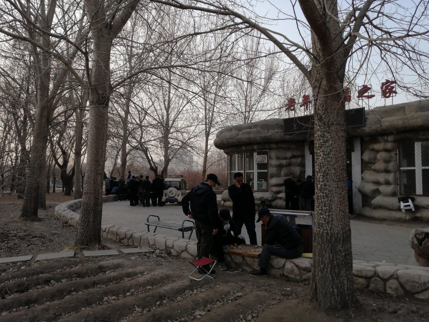 公园闲处有下棋，曾经我也很着迷。现在棋变人生路，落子无悔信步移。四通八达方格转，