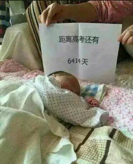 不能不死在起跑线上，真是亲妈啊