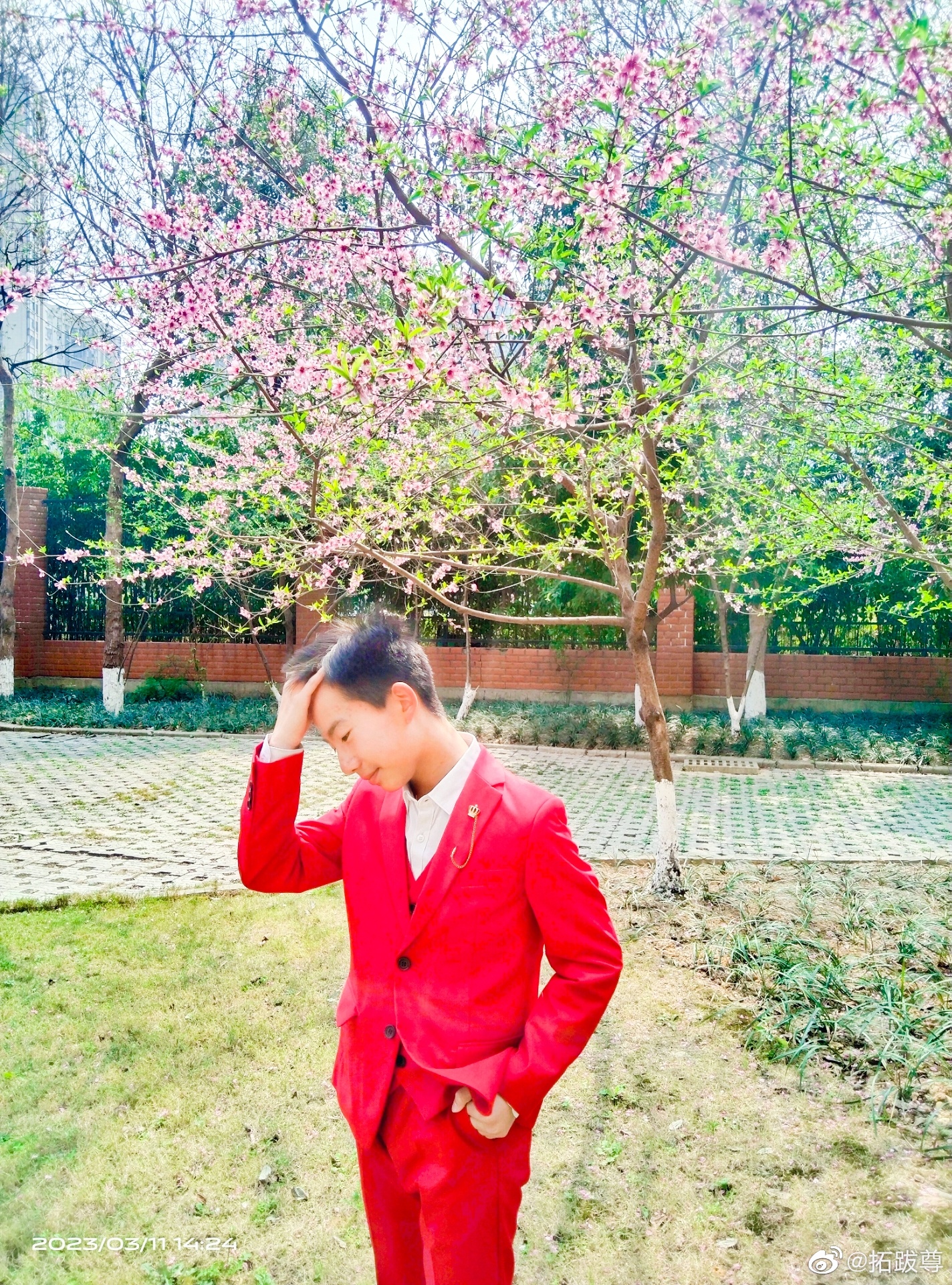 春暖花开 ​​​
