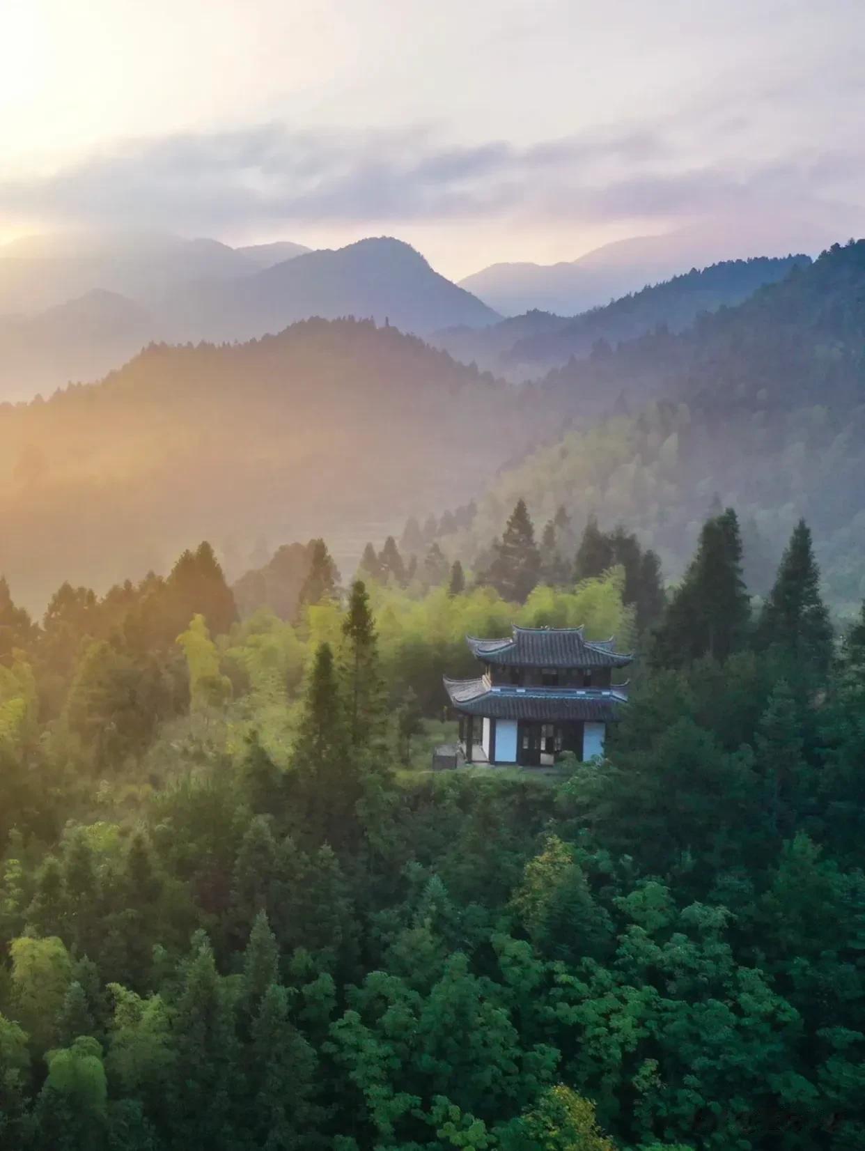 穿越时空之门，我找到了浙江最美的千年古寺
丽水真的是宝藏好地方
除了松阳，缙云
