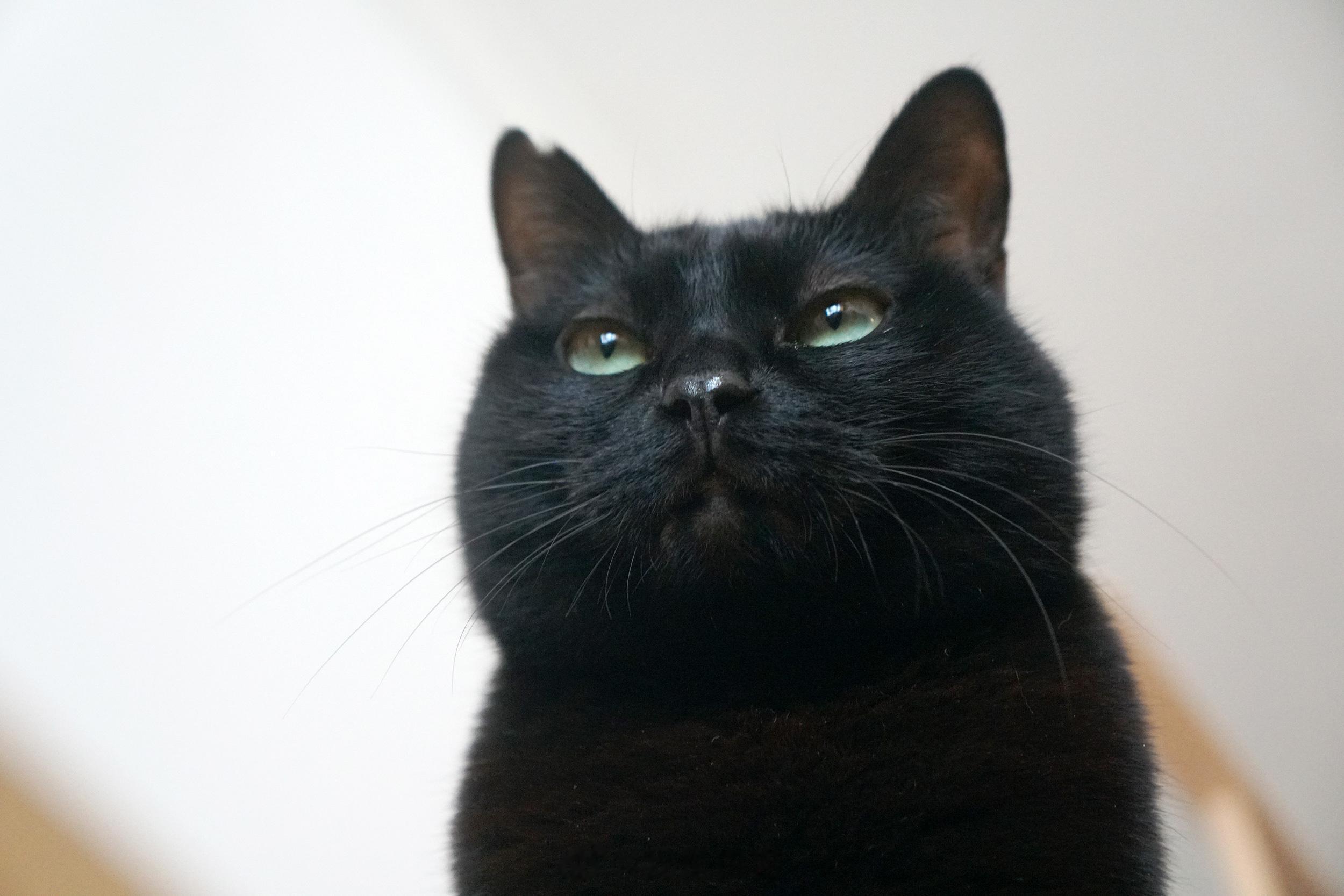 大年初三，雖然降溫，好在還有溫