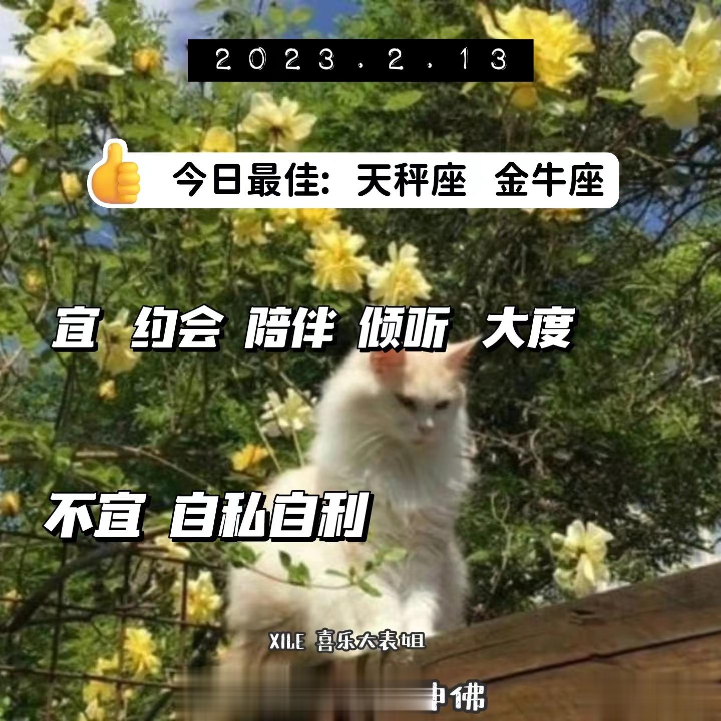 每日提醒#十二星座日运##十二星座# ​​​