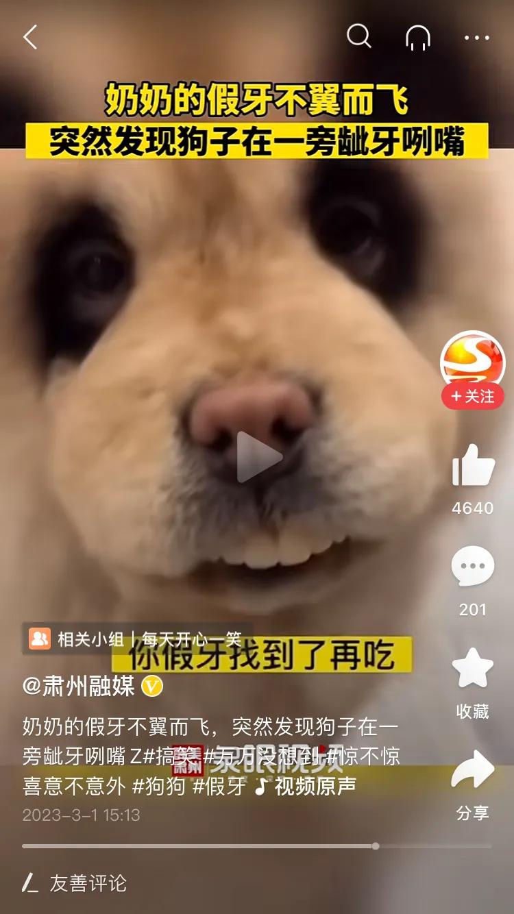 这是真的狗，奶奶假牙掉了，找了半天都没找到，突然瞟到狗子嘴巴，发现居然把假牙含在