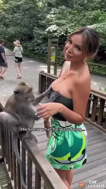 这猴子真是不解风情