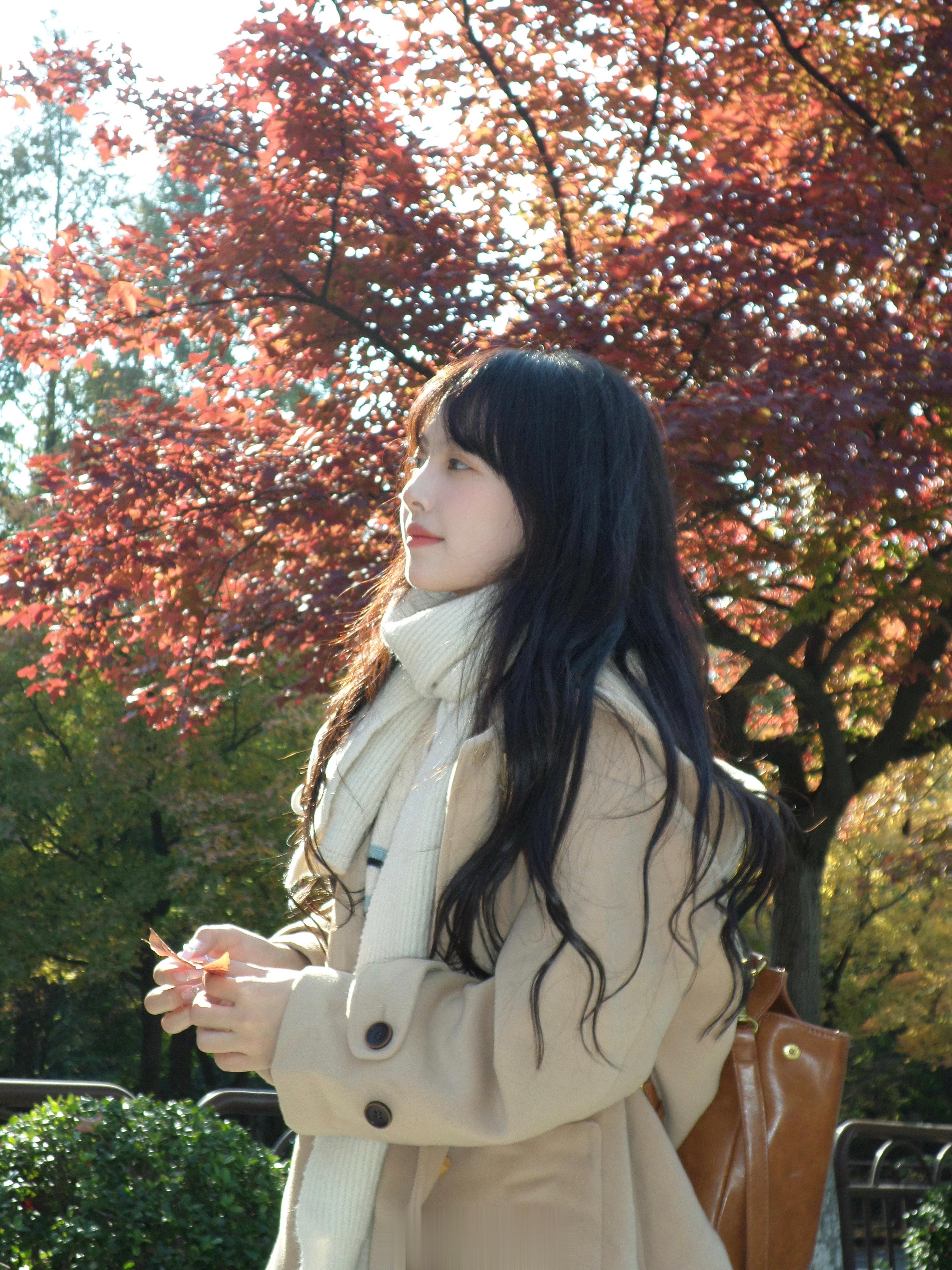 <p>🍁 ​​​</p><p