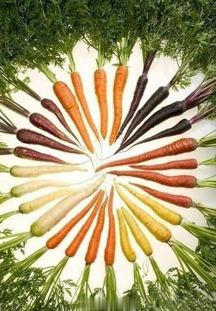 【让女人年轻十岁的蔬菜】①苦瓜：具有促进食欲、利尿、活血、消炎、退热和提神醒脑等