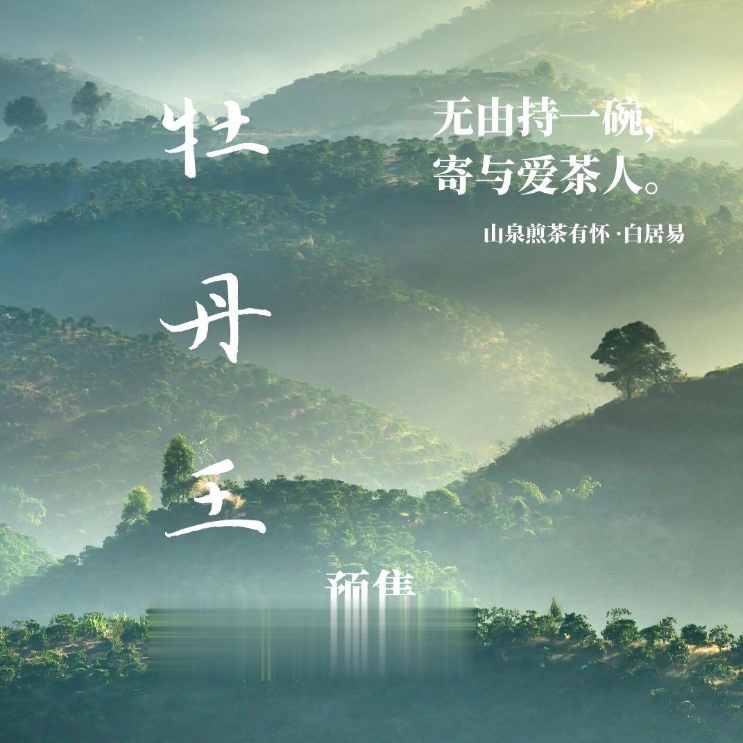 好几个朋友跟我反馈，说白牡丹一百克包装太少了，这样的茶最好不当年喝，而是放几年再