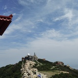 医路肾康