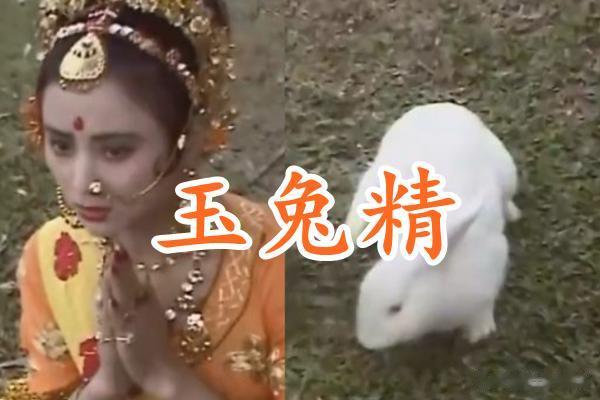 《西游记》现出真身，玉兔精可爱，赛太岁笨重，看到蟒蛇精：害怕
哈喽，大家好，欢迎