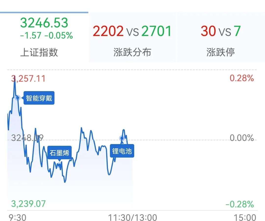 午评：创业板指窄幅震荡涨0.21％固态电池概念股集体爆发

市场早盘高开后窄幅震