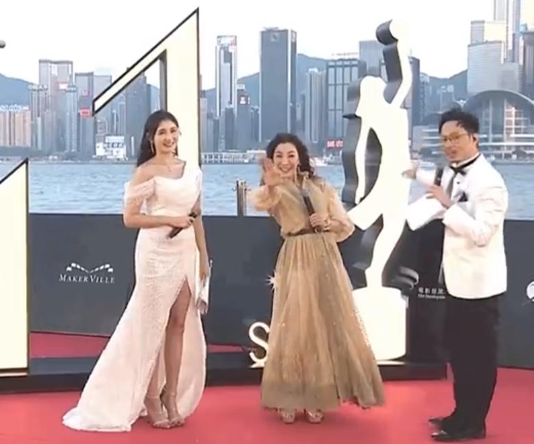 杨紫琼和刘德华在金像奖红毯同框了！
在第41届金像奖红毯上，原本刘德华和许鞍华导