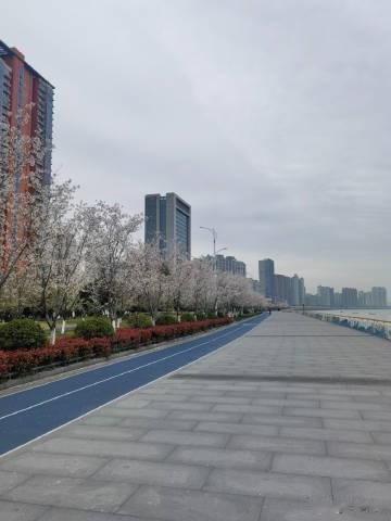 吉利副总裁杨学良发布了一组图片，右上角小尾巴：来自 MEIZU 20 PRO热爱