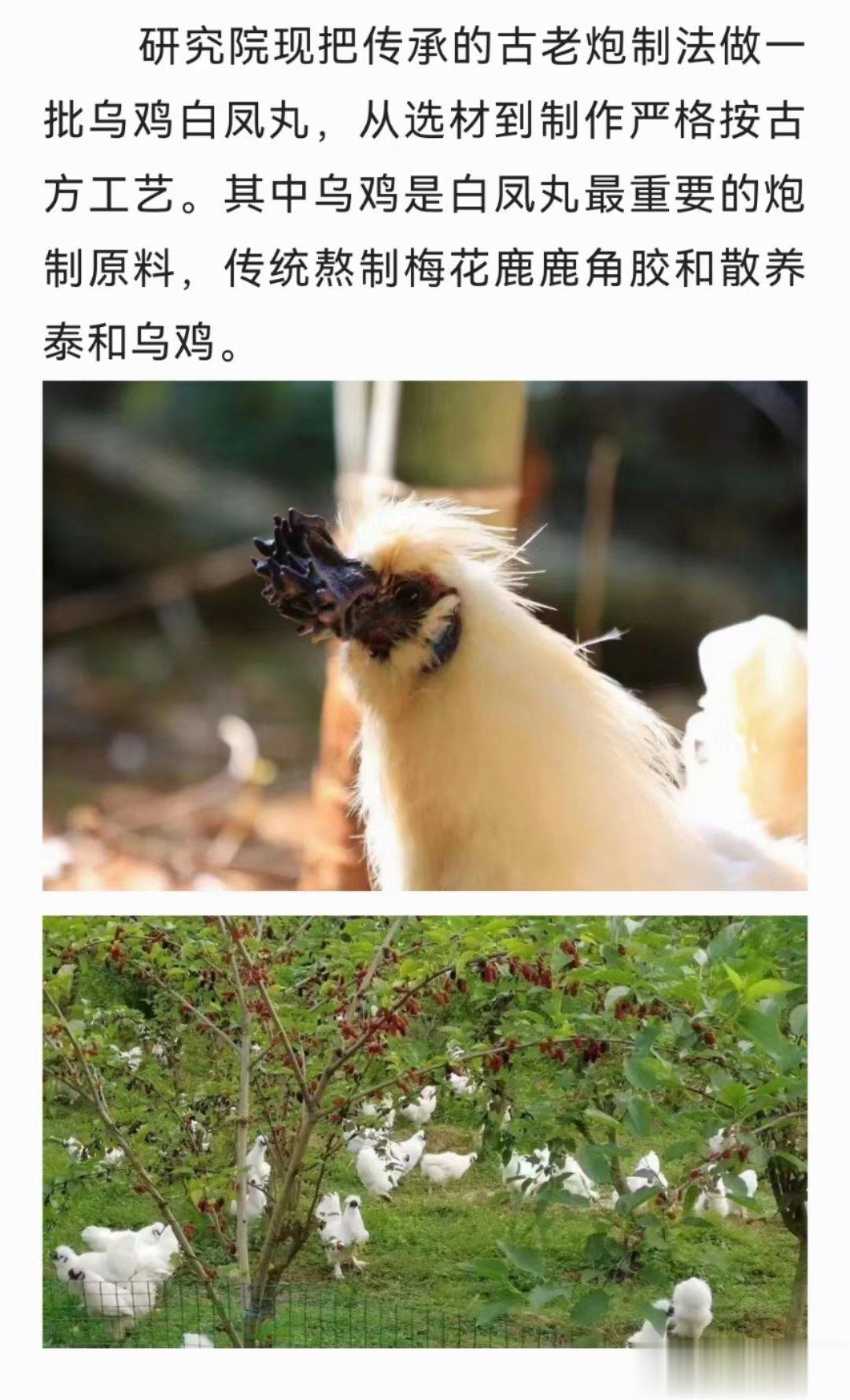中医养生要遵循自然规律。春天是四季的开始，顺应季节养生开个好头，让身体整年都安康