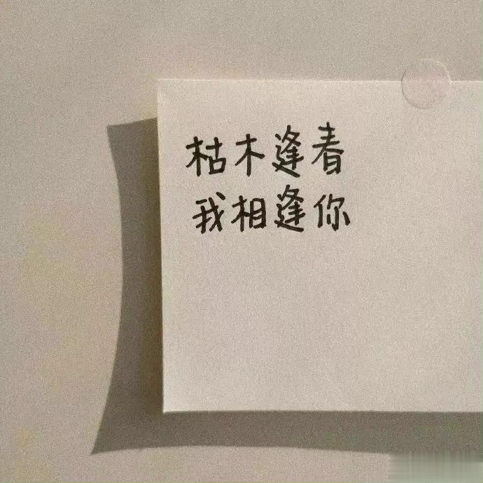 桃花多，其实情况，是分两种类别情况的。有些人是属于：人缘桃花多，露水桃花多，烂桃
