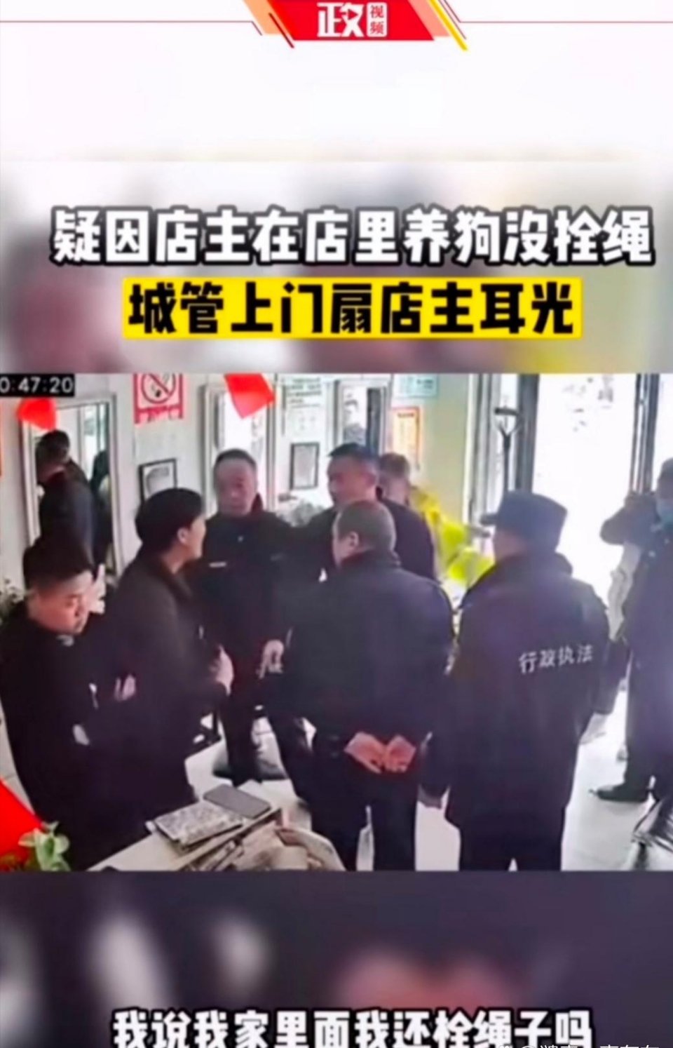 湖北仙桃，几名城管执法人员进入胡先生开的宠物店，称宠物待在店里也需要栓绳，胡先生