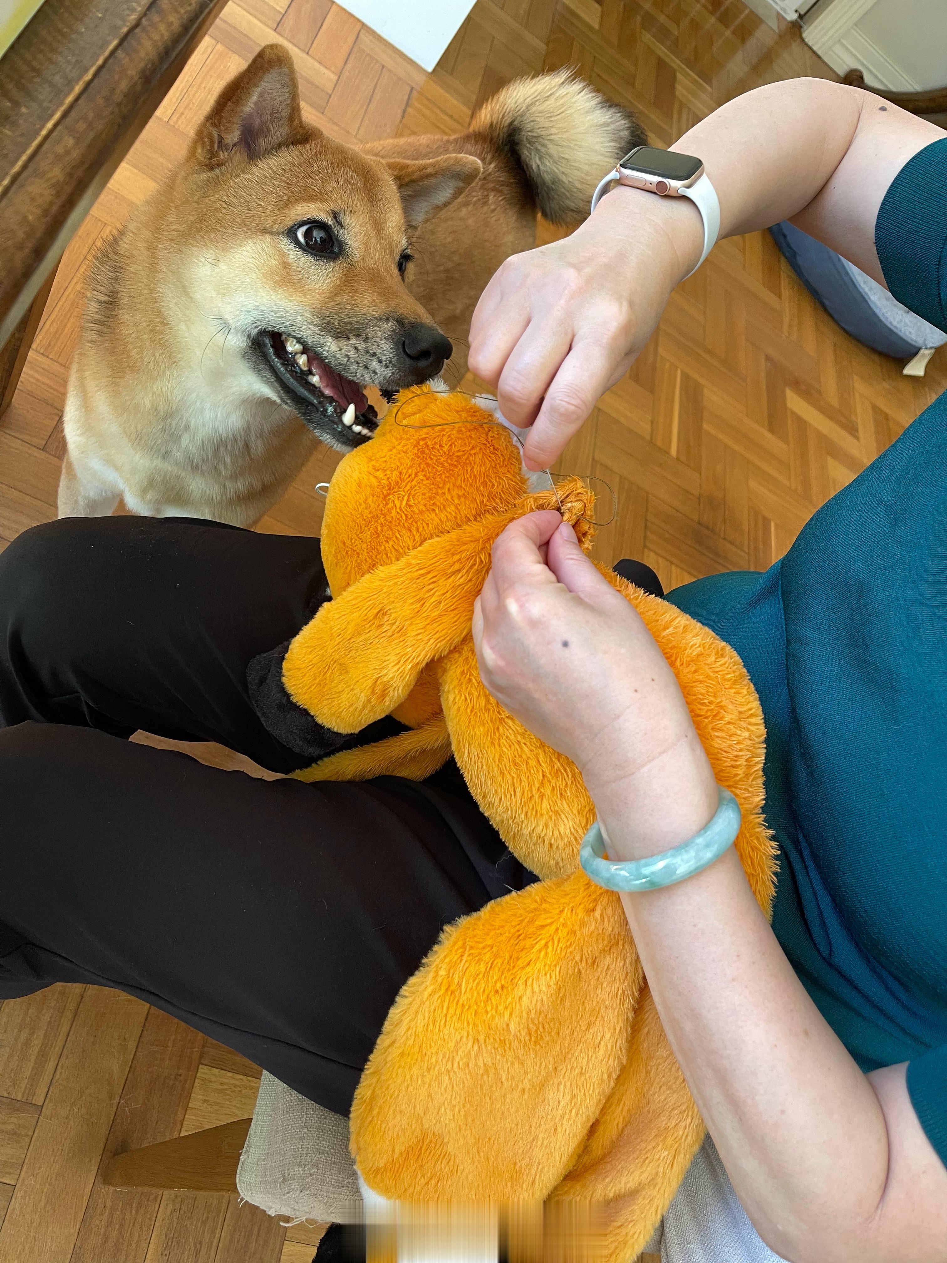 奶奶奶奶奶奶奶奶！玩具缝好了吗！好了吗好了吗好了吗！啤啤等不及啦！ ​​​