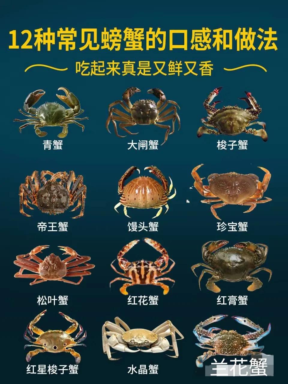 我国12种常见螃蟹的品种与口感和几种家常做法，买时要认识，吃时要会吃，你吃过几种