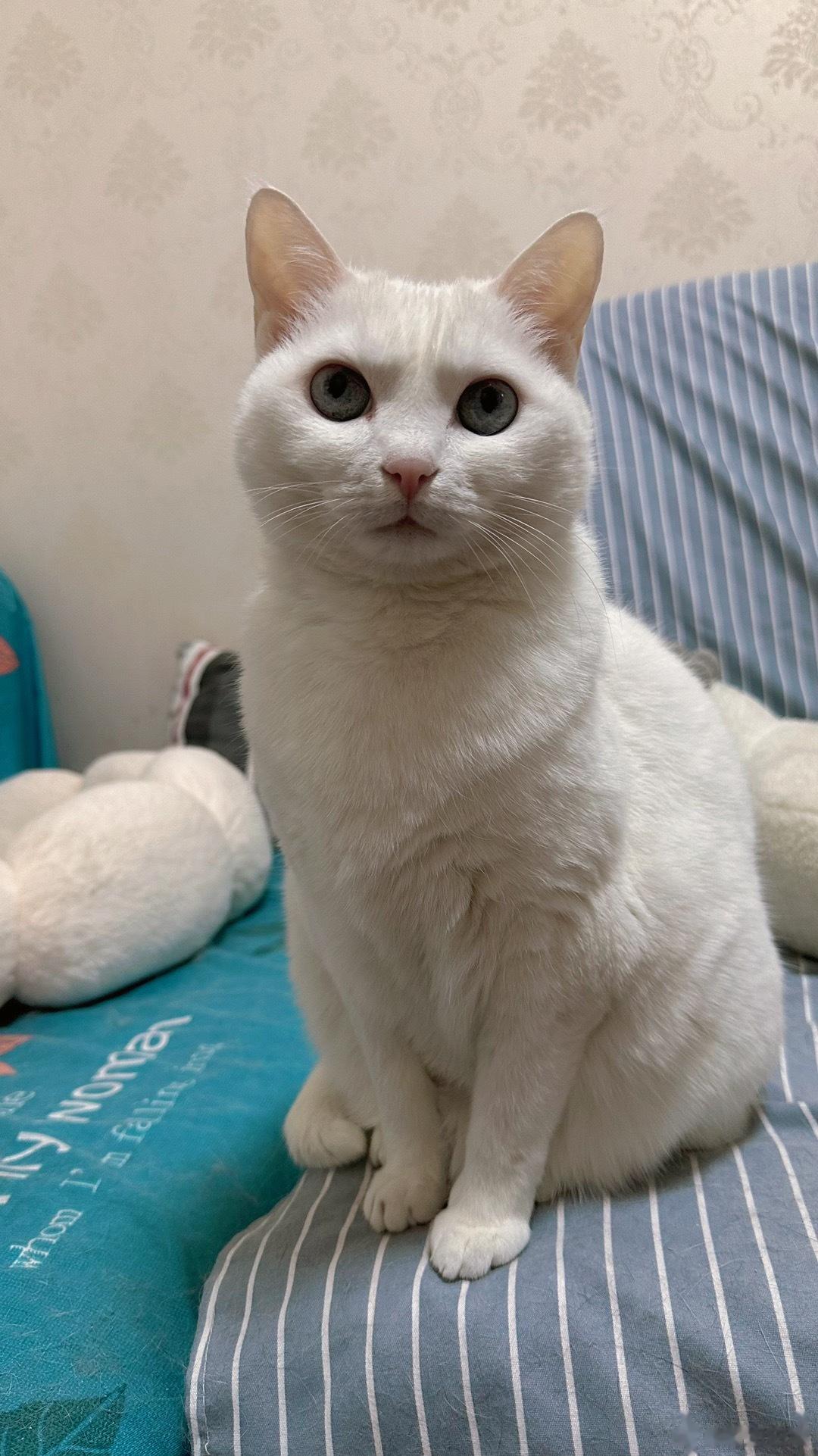  怎么看着哪里怪怪的🤨 ​​​