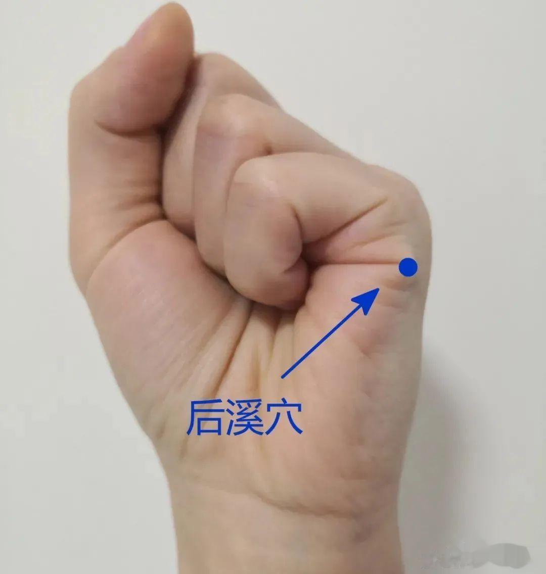 手上一奇穴，让你肝血充足眼睛亮，简单易行[赞啊][赞啊][赞啊]后溪穴，最早见于