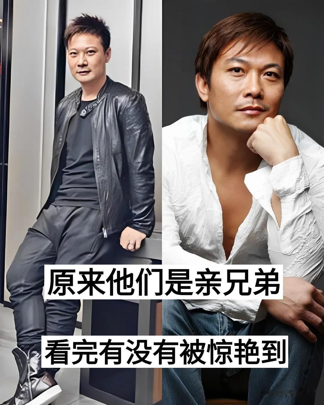 原来他们是亲生兄弟啊