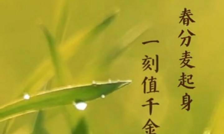 我发表了头条文章:《春分：点亮