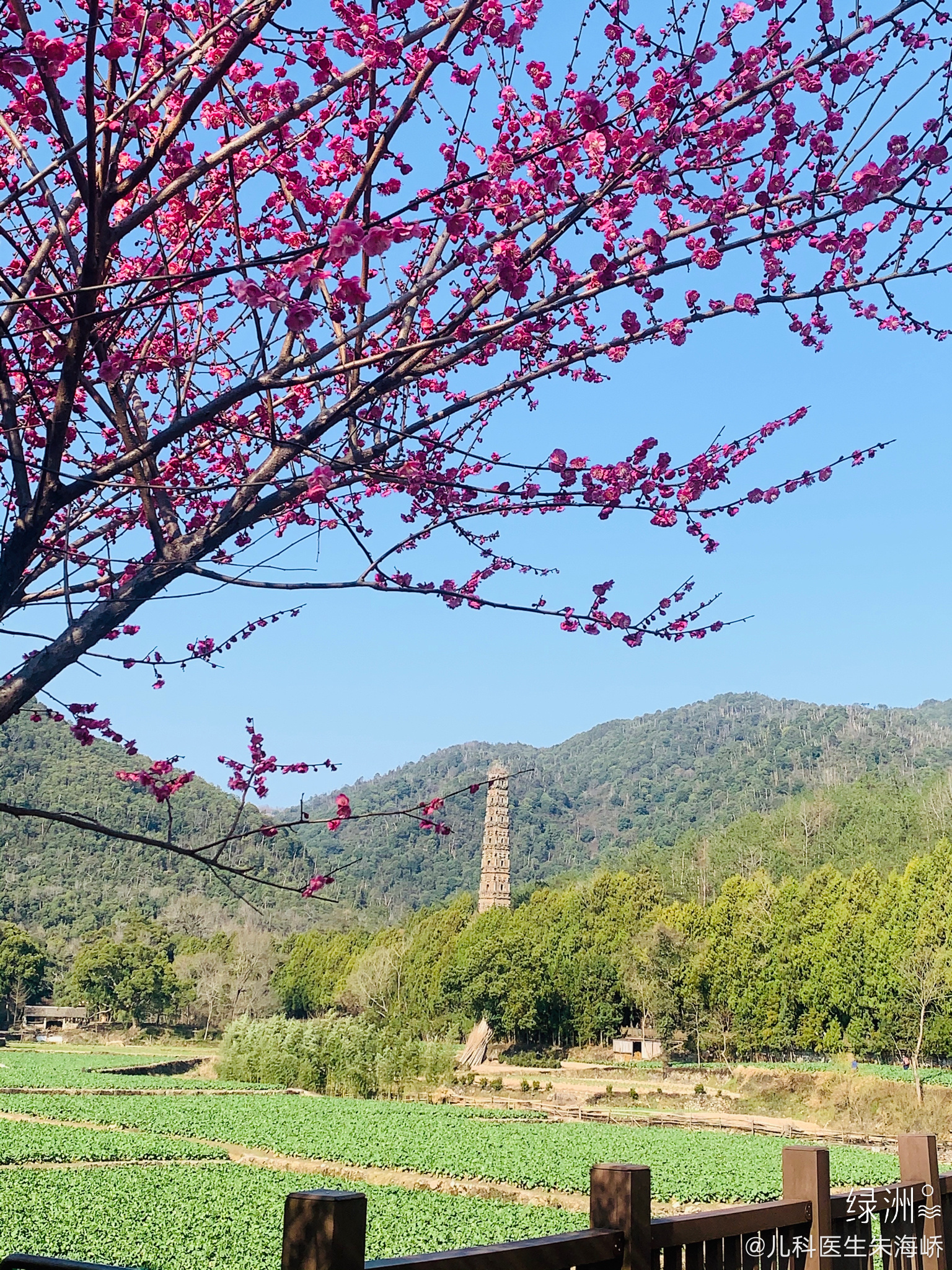 早上好  ​​​