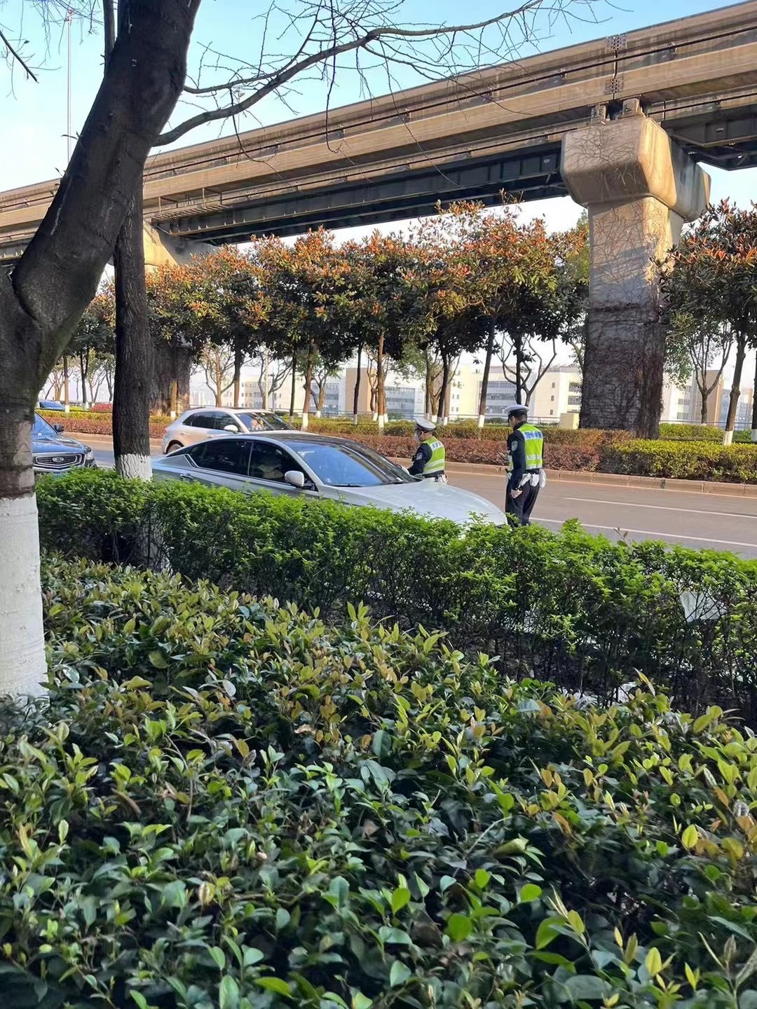 早起的交警有停车费收[允悲]#每天早起打卡##car时尚##我与汽车的日常#  