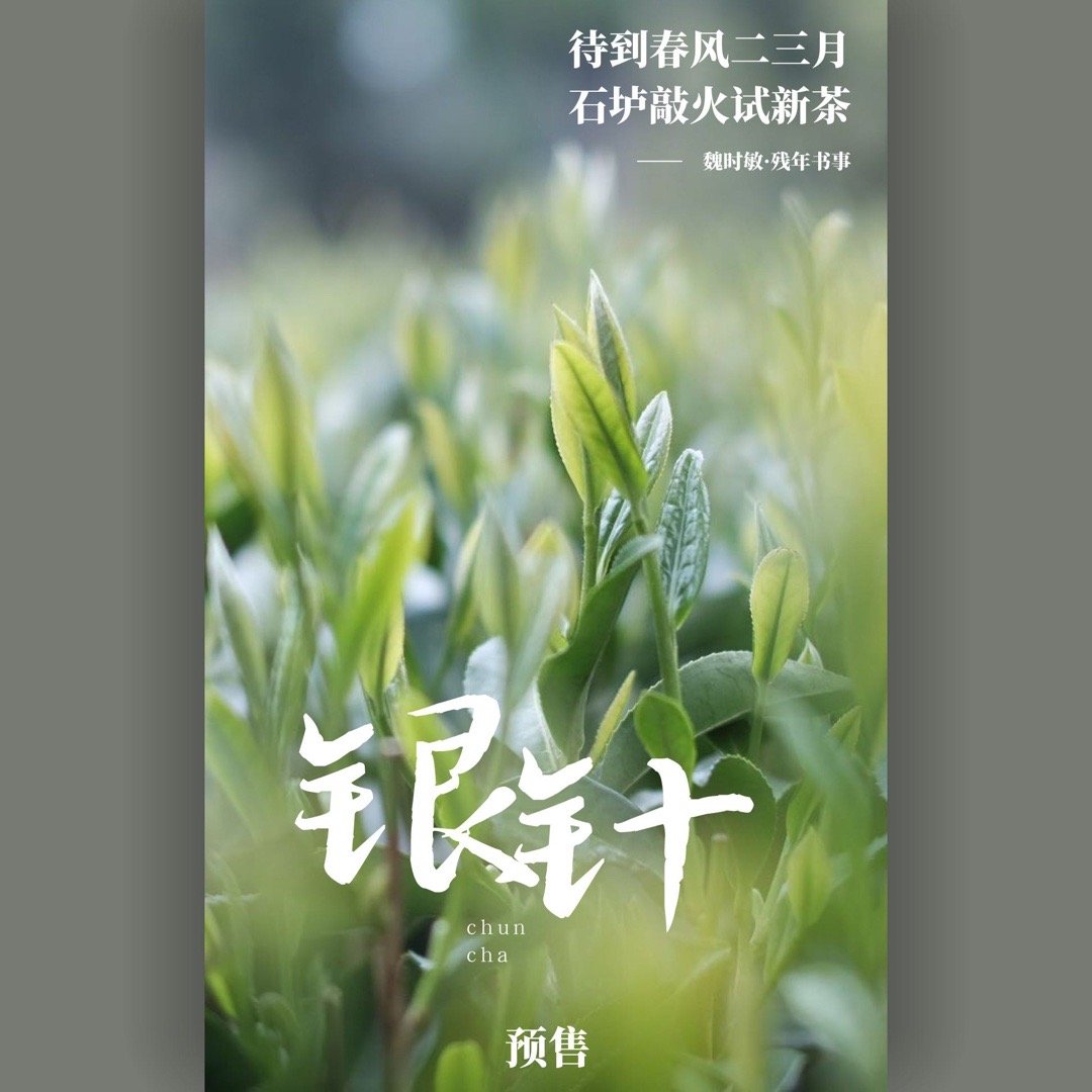 『五哥的茶』我一直说要卖茶，也卖了一阵子茶星球的茶了，但说实话，茶老板和花花搞出