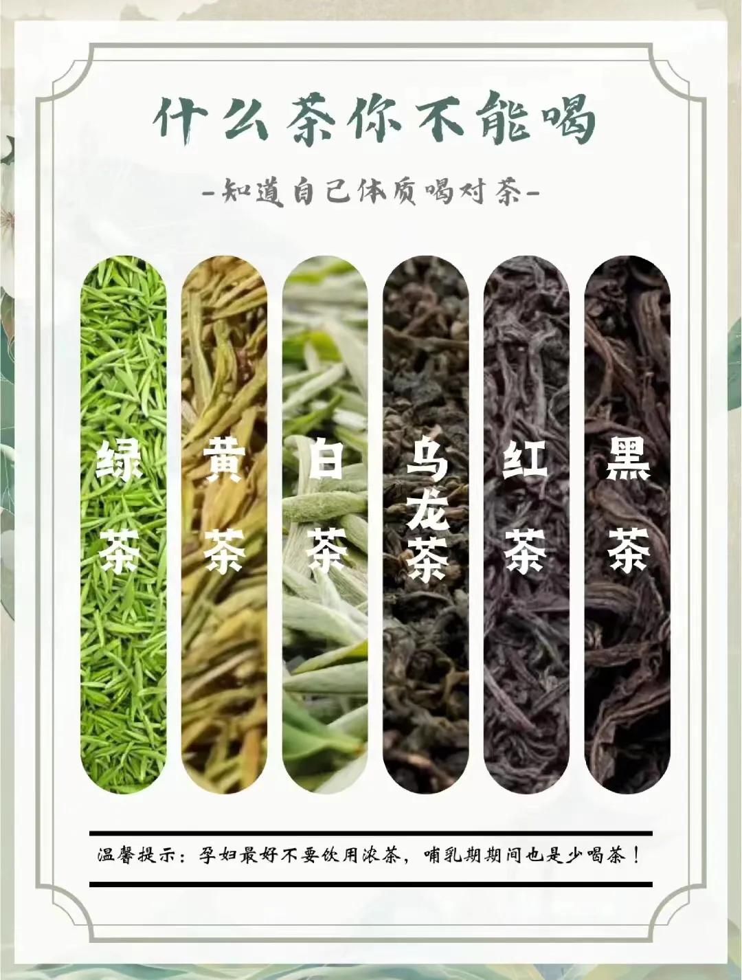 六大茶系哪种适合你呢？建议喜欢喝茶的来看看！
 