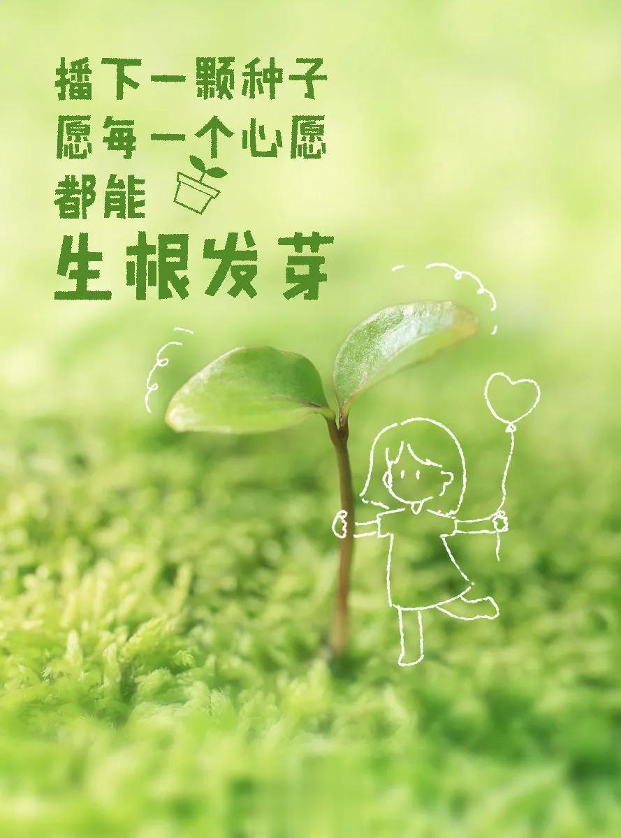 【不负春光！收藏】努力向下扎根，就一定能换来向上生长。今天植树节，一  手绘壁纸