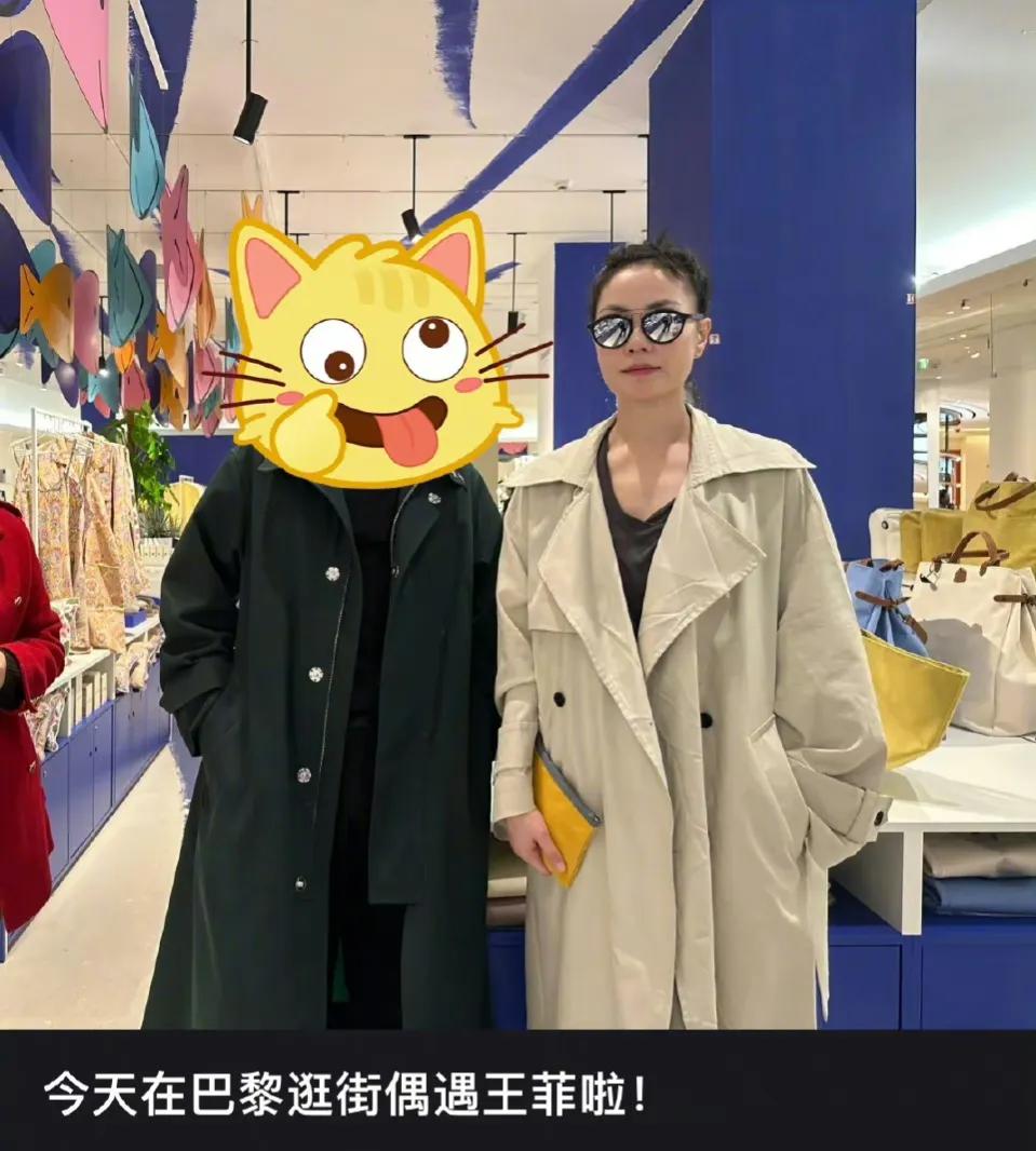 有网友在巴黎逛街偶遇王菲，天后气质太好了，而且还比较和蔼可亲，这一次网友没有见到
