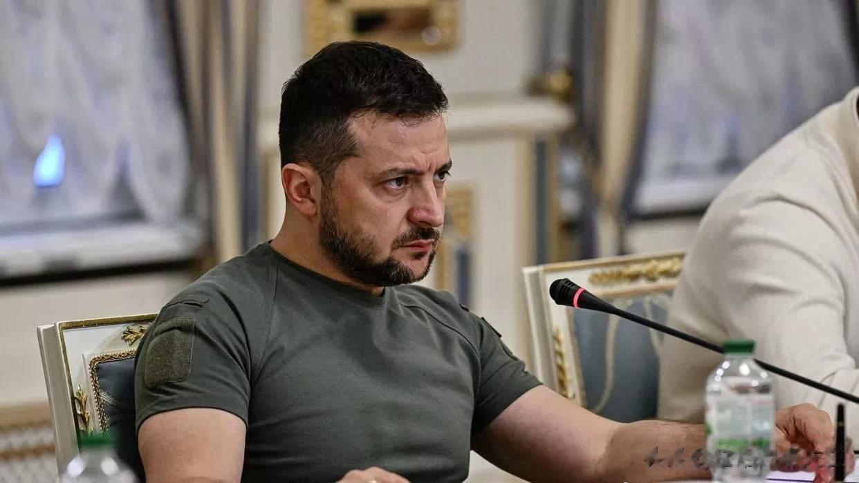 美国前情报官：泽连斯基会死在起义的乌克兰民众手里

来源:俄罗斯卫星通讯社

前