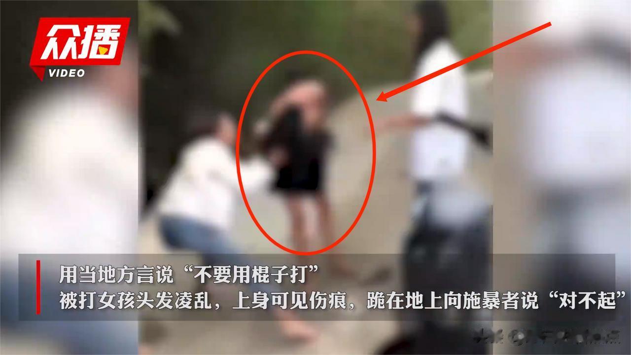 父亲残疾人、母亲聋哑人，13岁中等成绩女孩被多人殴打，致左耳鼓膜穿孔、眼球插入异
