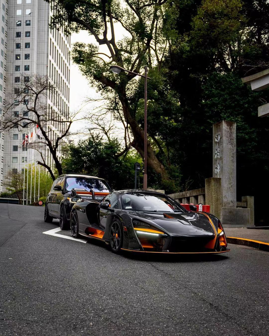 和这台终极加长版路虎揽胜比起来[doge]塞纳都有点气场不够了 ​​​