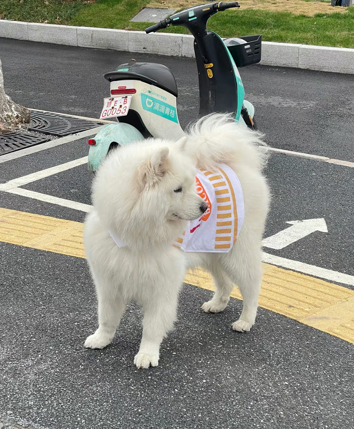  不要期待所有人都懂你 因为就我的经验里 大多数的时候你自己也不懂你自己 ​​​