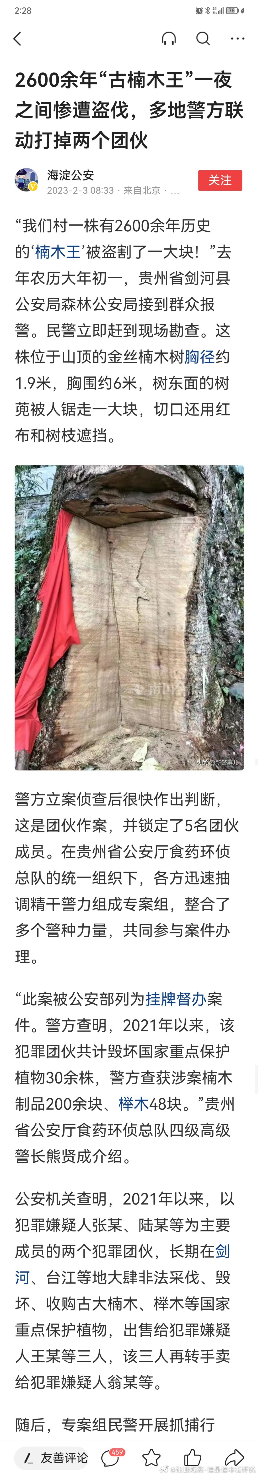 #张捷杂谈# 人怕出名猪怕壮，树也怕出名。刚刚看过介绍楠木王，就出了盗伐，虽然罪