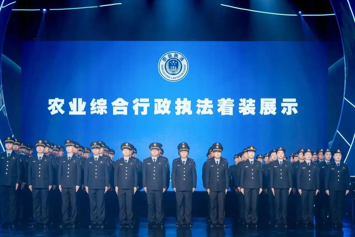 看到农村这些镜头真是心疼国家，这又得多开多少工资养着这些人，腰带又得再紧紧了！勒